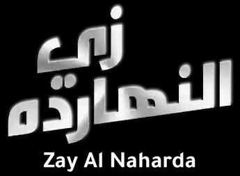 فيلم Zay Al Naharda