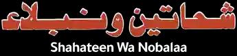 فيلم Shahateen Wa Nobalaa