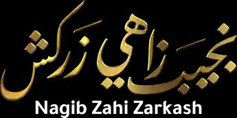 Nagib Zahi Zarkash، الموسم 1، الحلقة 1