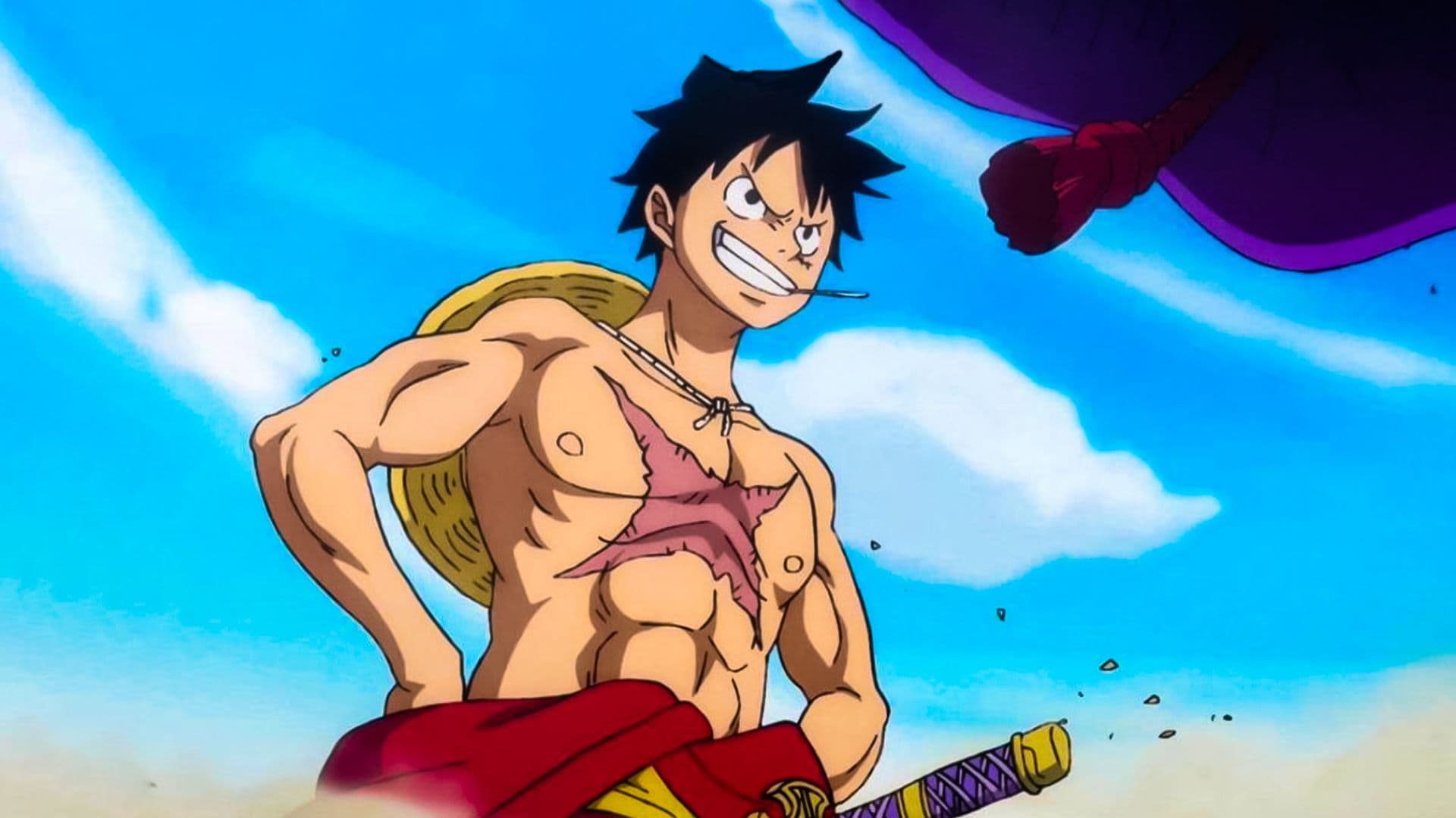 One piece 894 full on sale episode